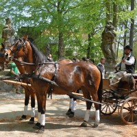 Valdstejn_DSC_0718