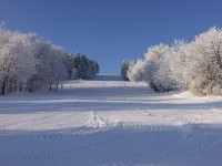 Vlek_kozakov2