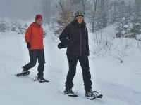sneznice_02
