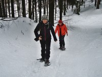 sneznice_03